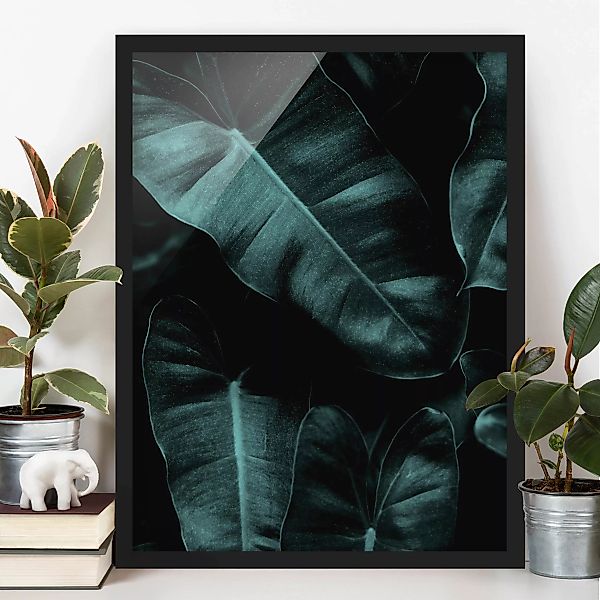 Bild mit Rahmen Dschungel Blätter Dunkelgrün günstig online kaufen