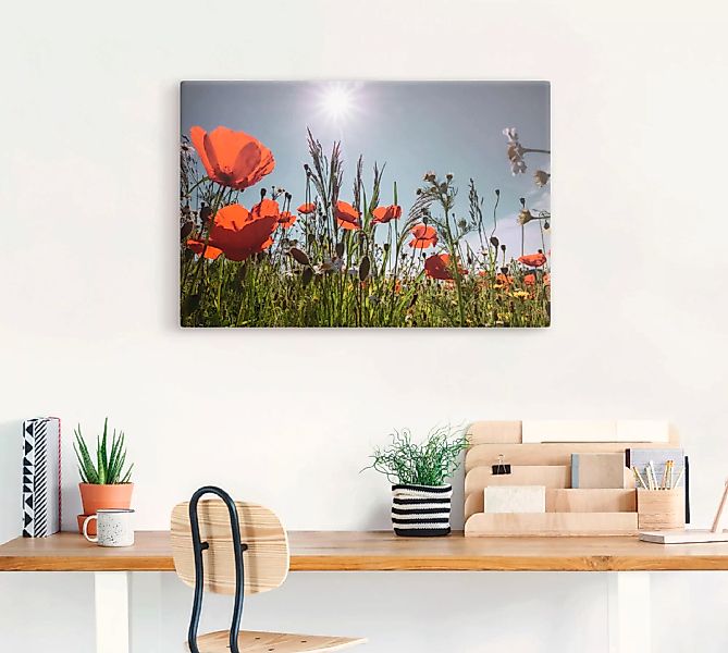 Artland Wandbild "Mohnblumenwiese", Blumenwiese, (1 St.), als Alubild, Outd günstig online kaufen