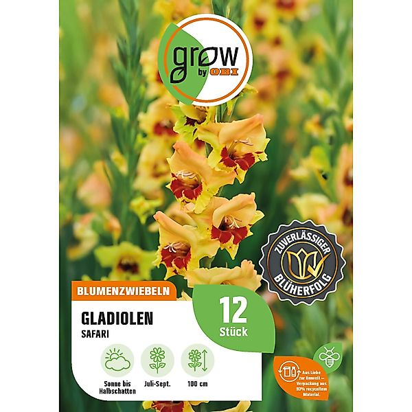 GROW by OBI Gladiole Safari Höhe ca. 100 cm Gladiolus garndiflorus günstig online kaufen