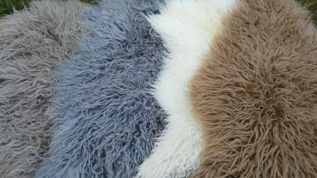 Provellus Fellteppich Island Schaffell Lockig Lammfell günstig online kaufen