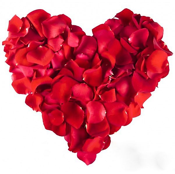 Kunstblume 1000 Rosenblätter Rosenblüten Rosen Blütenblätter Valentinstag D günstig online kaufen