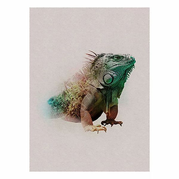 Komar Poster Animals Paradise Iguana günstig online kaufen