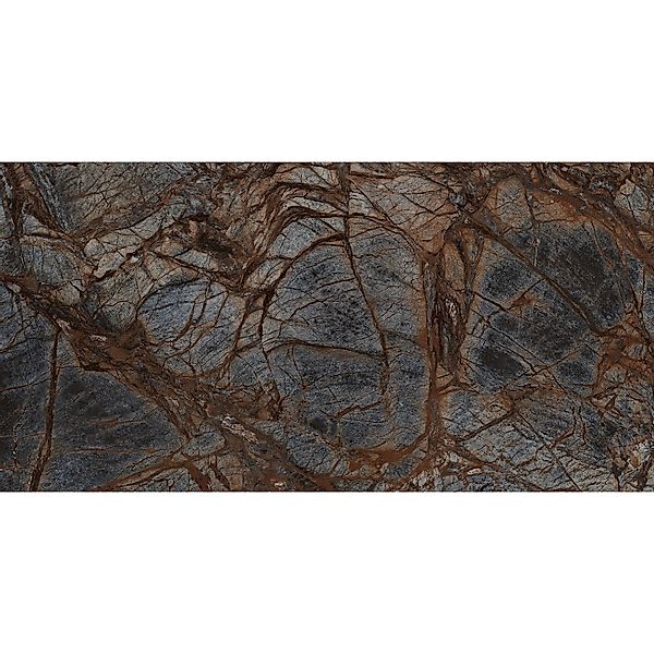 Bodenfliese Feinsteinzeug 60 cm x 120 cm günstig online kaufen