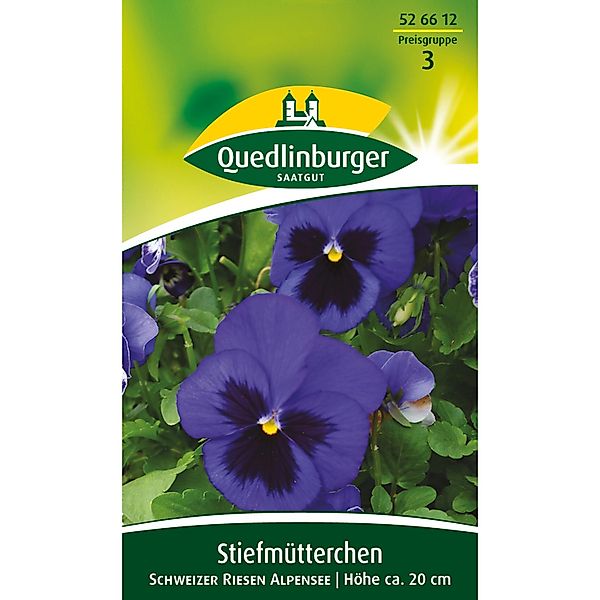 Quedlinburger Stiefmütterchen ''Schweizer Riesen Alpensee'' günstig online kaufen