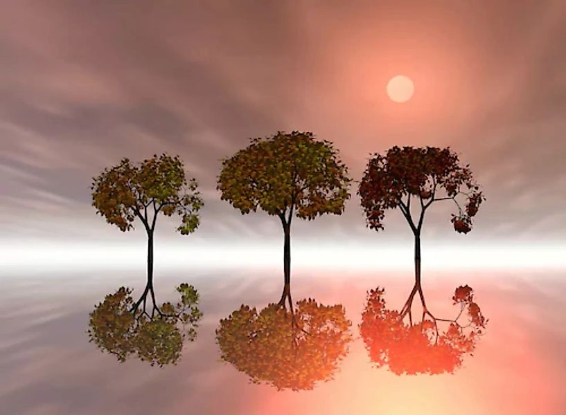 Papermoon Fototapete »Bäume im Wasser« günstig online kaufen