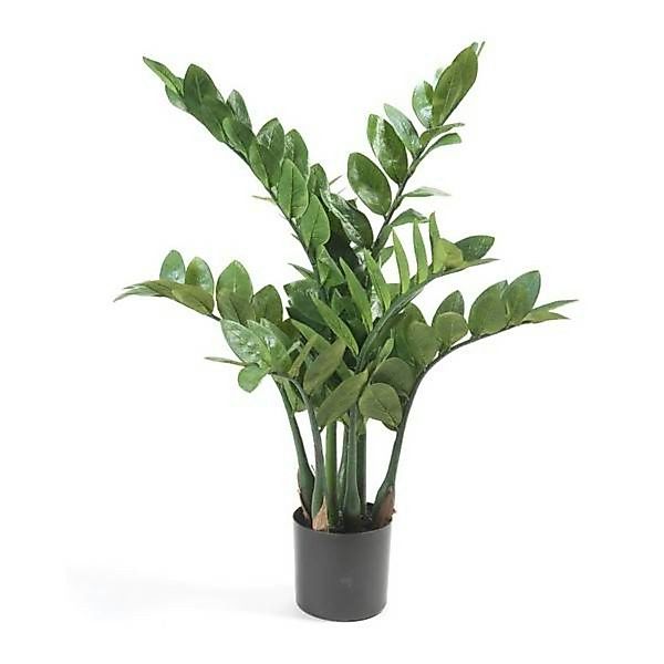 Künstliche Zimmerpflanze Glücksfeder, Emerald, Höhe 70 günstig online kaufen