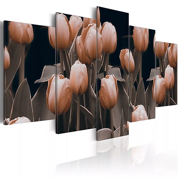 Wandbild - Tulpen In Sepia günstig online kaufen