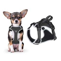 Bestlivings Hunde-Geschirr Favvity Pet Brustgeschirr für günstig online kaufen