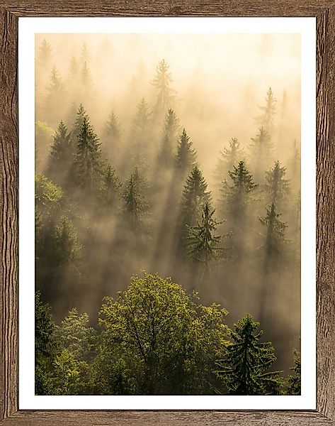 Bönninghoff Bild mit Rahmen, Bäume, Landschaft, Natur, Wald, Waldbilder, Wi günstig online kaufen