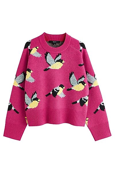 Next Rundhalspullover Gemusterter Strickpullover mit Rundhalsausschnitt günstig online kaufen