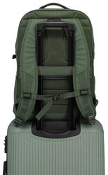 travelite Freizeitrucksack BASICS Rucksack Plane, Schulrucksack günstig online kaufen