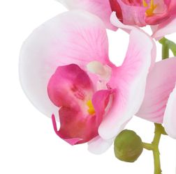 Kunstorchidee Orchidee im Topf 2er Set, günstig online kaufen