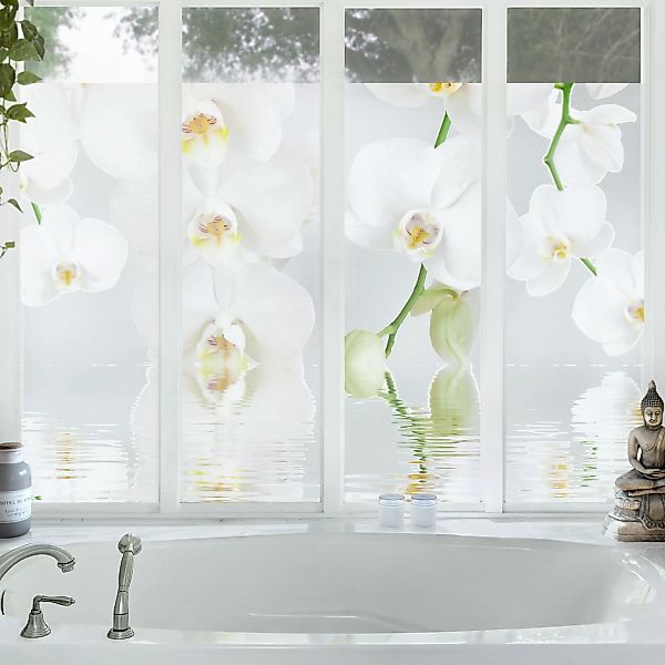 Fensterfolie Wellness Orchidee - Weiße Orchidee günstig online kaufen