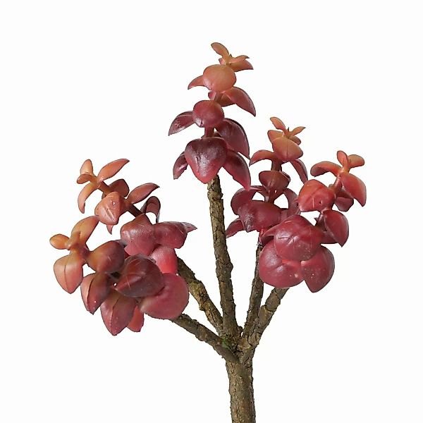 Boltze Kunstpflanzen & -blumen Stielblume Sukkulente 1 Stück (mehrfarbig) günstig online kaufen