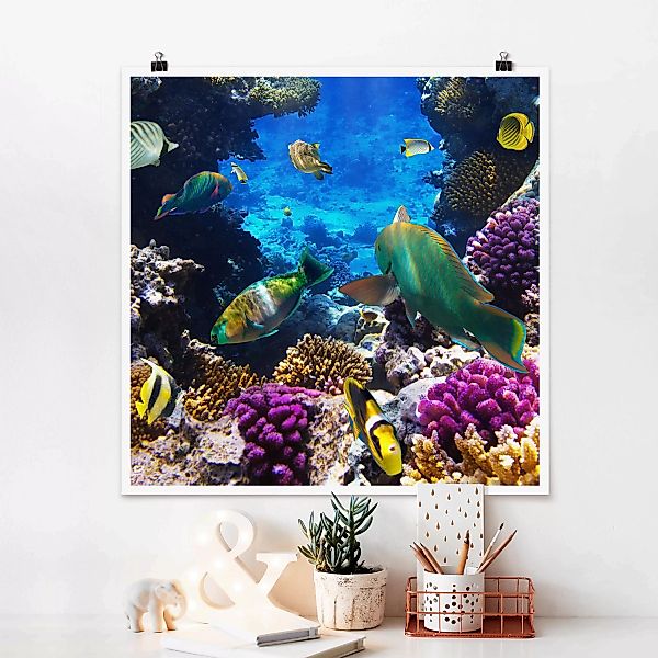 Poster Strand - Quadrat Underwater Dreams günstig online kaufen
