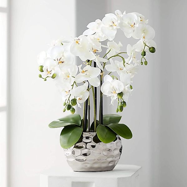 Kunstorchidee Kunstpflanze Orchidee Orchidee, Creativ green, günstig online kaufen