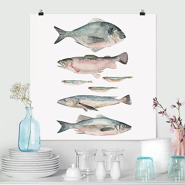 Poster - Quadrat Sieben Fische in Aquarell II günstig online kaufen