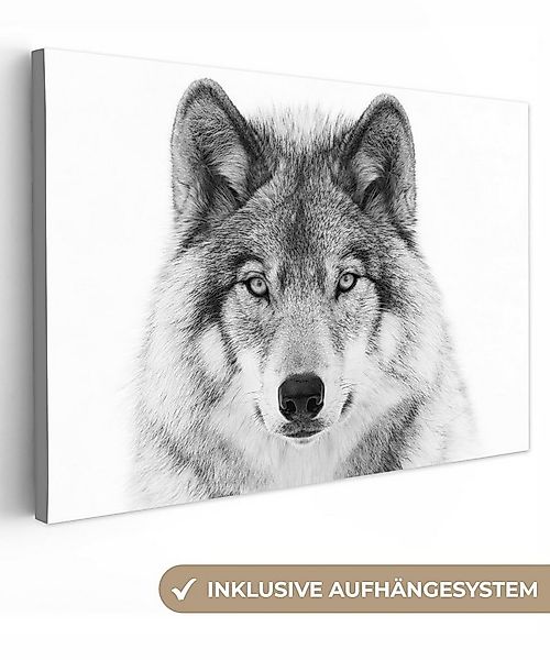 OneMillionCanvasses® Leinwandbild Wolf - Tiere - Porträt - Weiß, Fotodruck günstig online kaufen