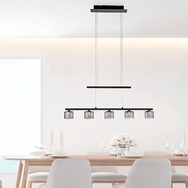 Paul Neuhaus Pendelleuchte "HYDRA", 5 flammig, Leuchtmittel LED-Board  LED günstig online kaufen