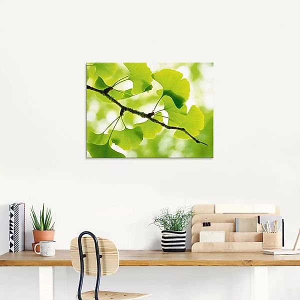 Artland Glasbild "Ginkgo", Blätter, (1 St.), in verschiedenen Größen günstig online kaufen
