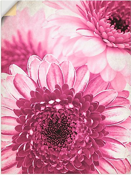 Artland Wandfolie »Pinke Gerbera«, Blumen, (1 St.), selbstklebend günstig online kaufen