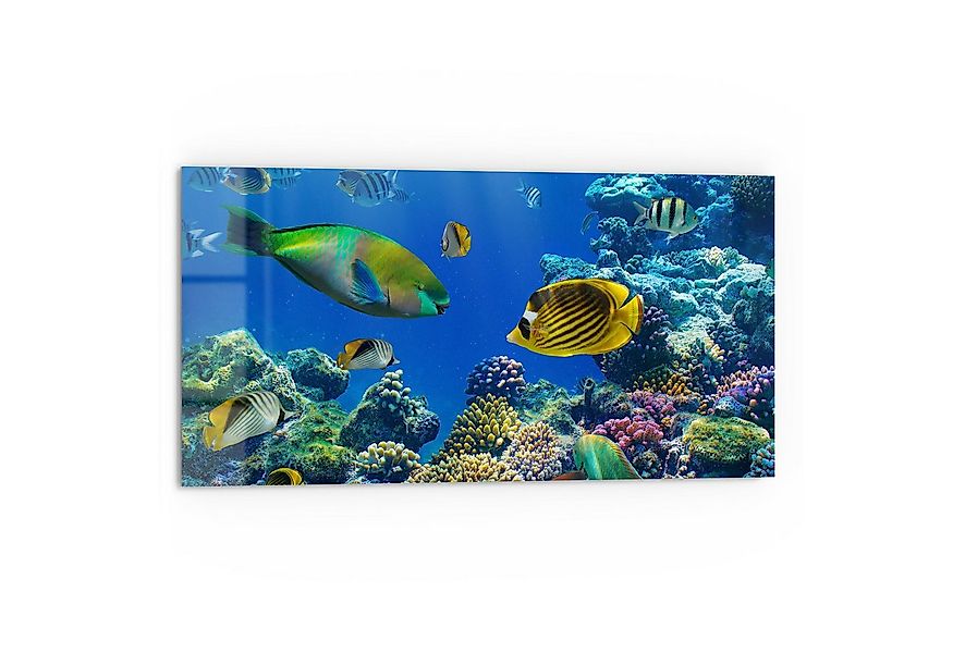 DEQORI Küchenrückwand 'Unterwasserwelten', Glas Spritzschutz Badrückwand He günstig online kaufen