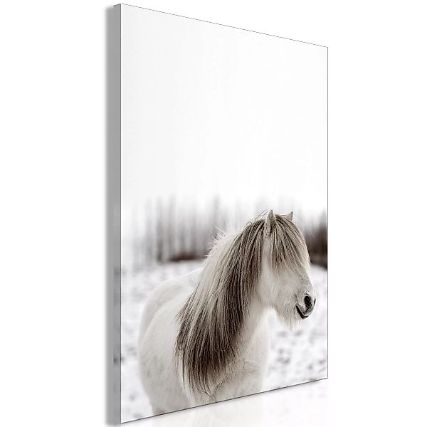 Wandbild - Horse Mane (1 Part) Vertical günstig online kaufen