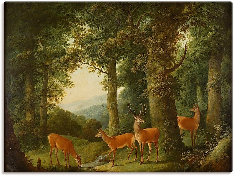 Artland Leinwandbild Waldlandschaft mit Rotwild. Um günstig online kaufen