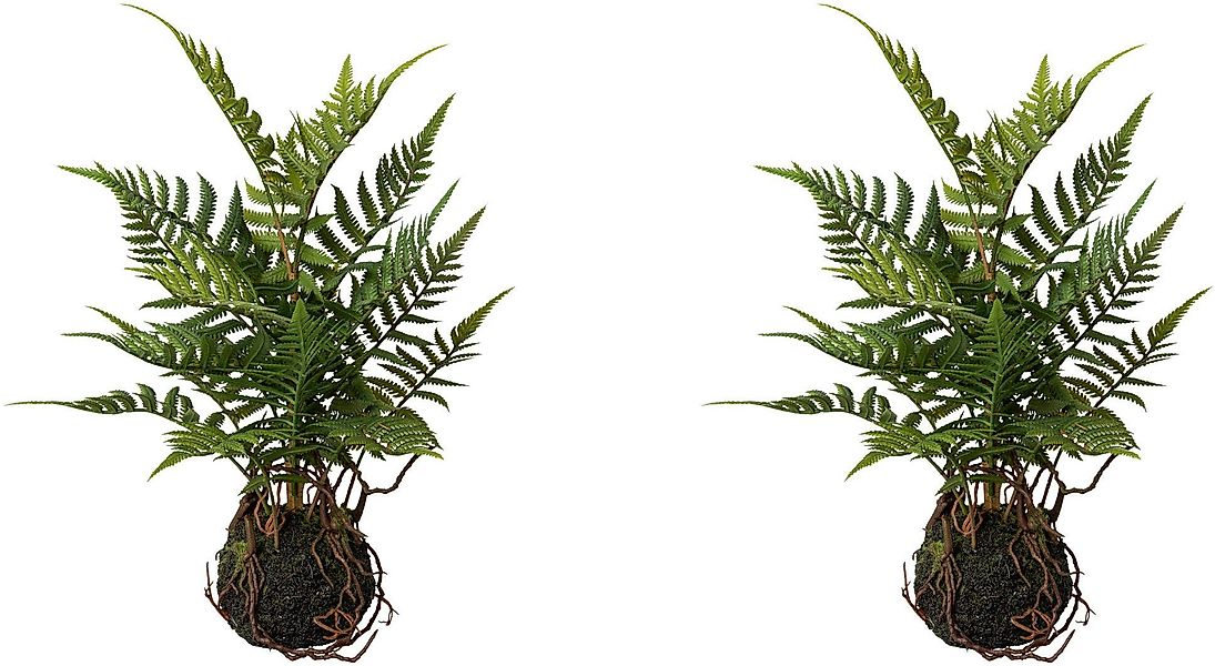 Künstliche Zimmerpflanze Farn im Ballen Farn, günstig online kaufen