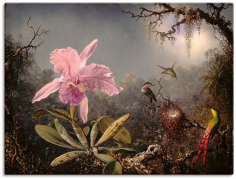 Artland Wandbild "Cattleya Orchidee und drei Kolibris.", Blumenbilder, (1 S günstig online kaufen