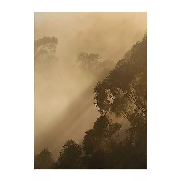 Komar Wandbild Golden Light Wald B/L: ca. 30x40 cm günstig online kaufen