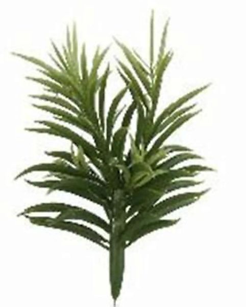 Flower & Style Kunstpflanzen & -blumen Sukkulente Pflanze grün 24 cm (18539 günstig online kaufen