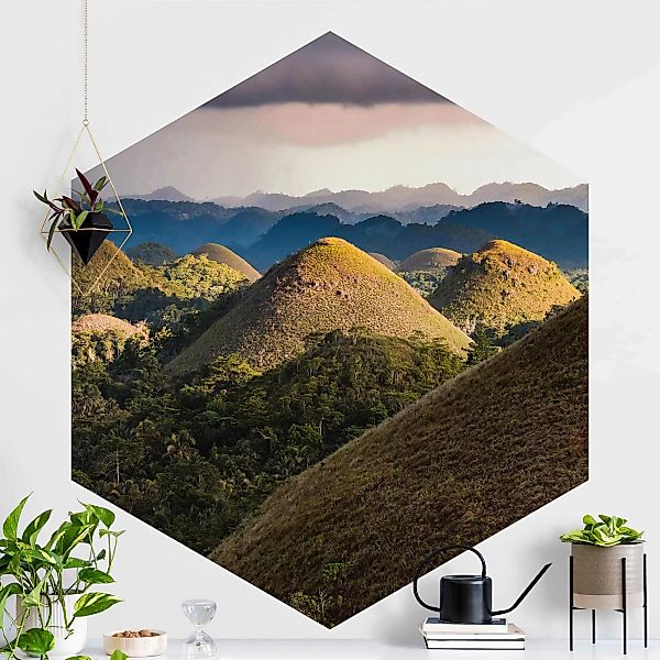 Hexagon Fototapete Schokoladenhügel Landschaft günstig online kaufen