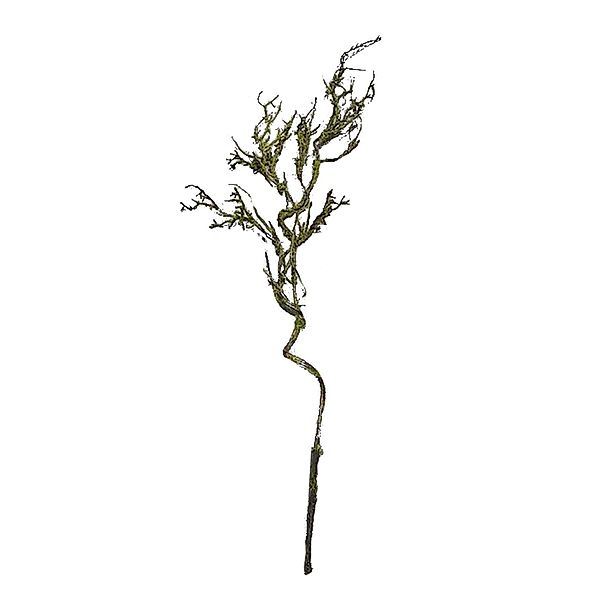 Kunstblume Moos Zweig Hellgrün 106 cm günstig online kaufen