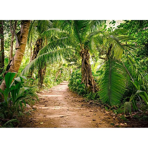 Fototapete Palmen Dschungel Grün Braun 3,50 m x 2,55 m FSC® günstig online kaufen
