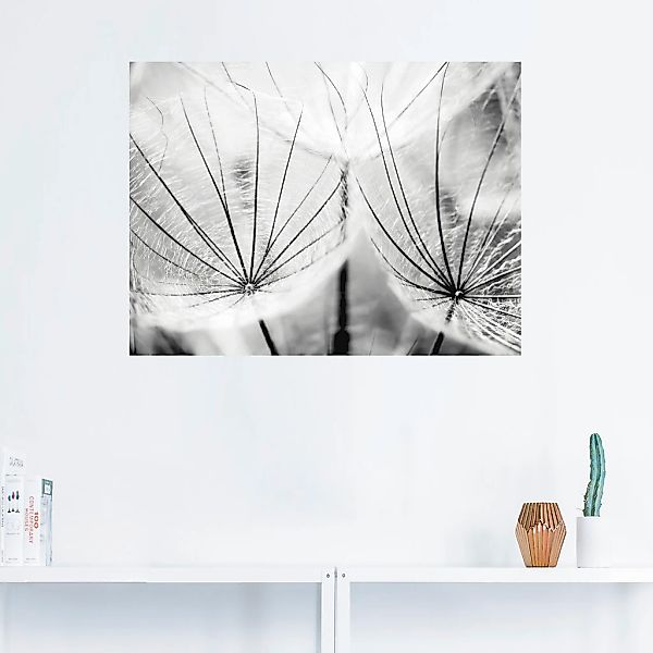 Artland Wandbild "Pusteblume in schwarzweiß", Blumen, (1 St.), als Alubild, günstig online kaufen