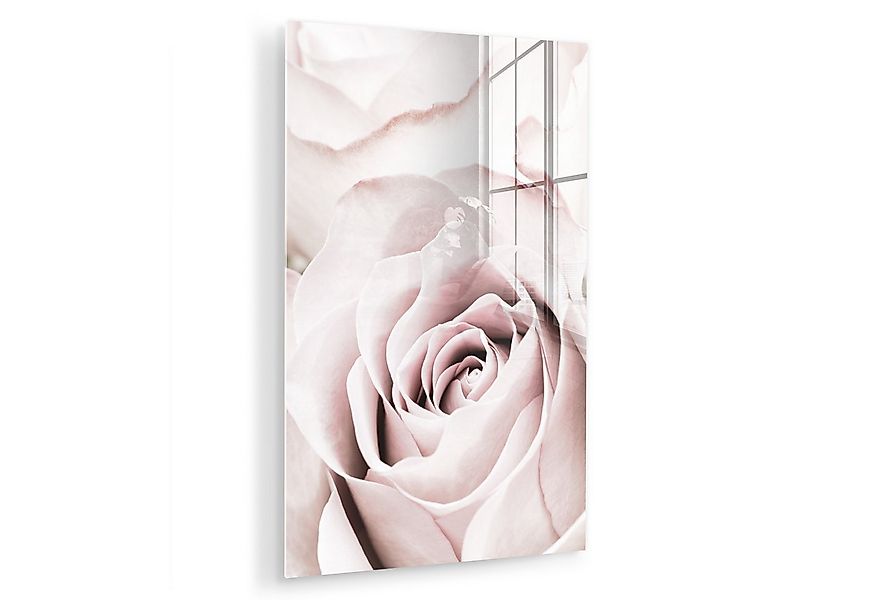 MuchoWow Acrylglasbild Blumen - Rose - Rosa - Botanisch, Inkl. Aufhängung, günstig online kaufen
