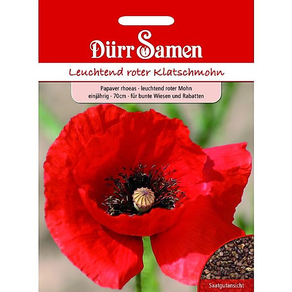 Dürr Samen Mohn Leuchtend Rot Einjährig Saatgut günstig online kaufen