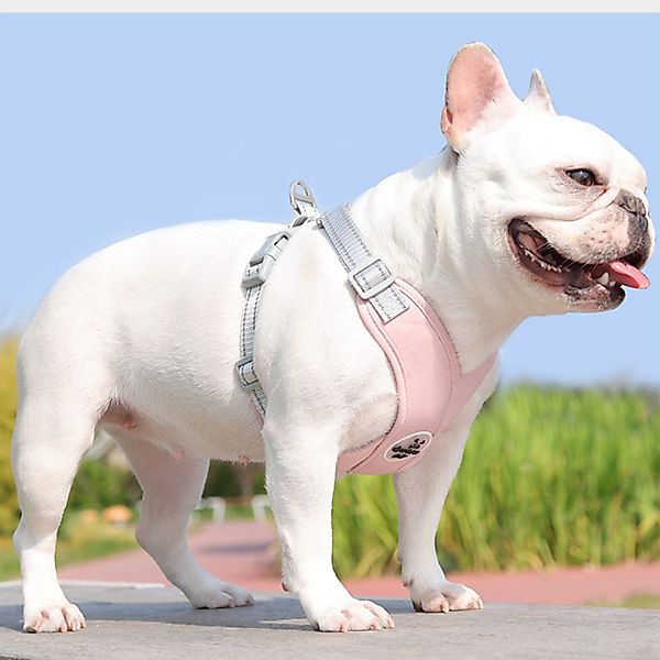 BYSURE Hunde-Geschirr, Hundegeschirr und Leine-Set günstig online kaufen