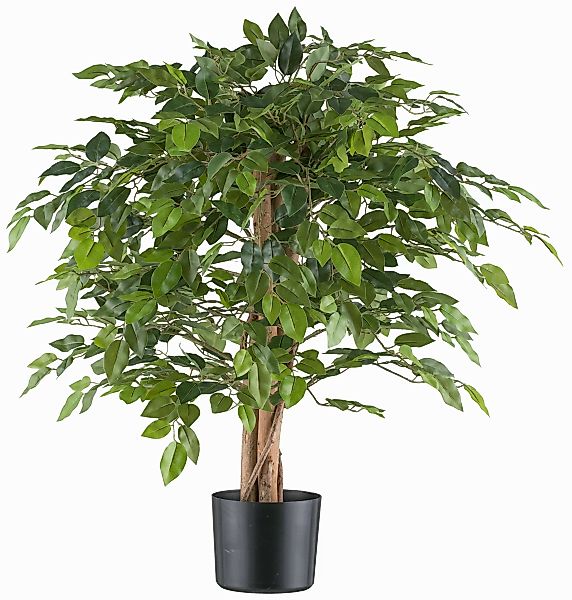 Kunstpflanze Ficus benjamina, Creativ green, Höhe günstig online kaufen