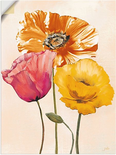 Artland Wandbild Bunte Mohnblumen II, Blumenbilder günstig online kaufen