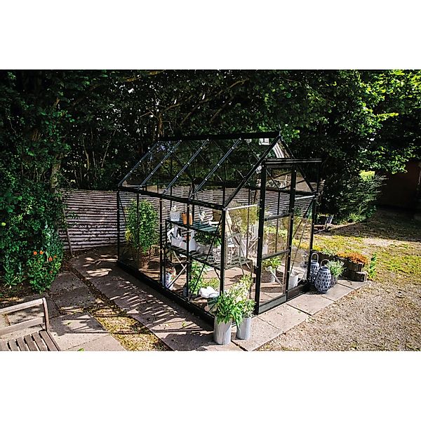 Halls Gewächshaus Icon 6 Schwarz 4,9 m² günstig online kaufen