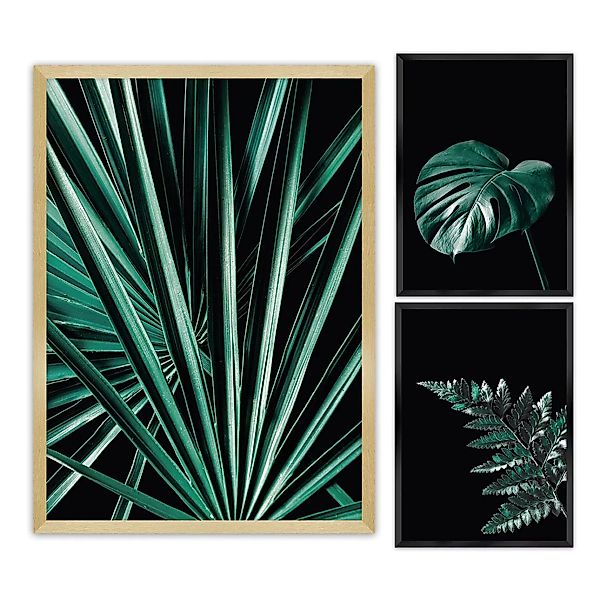 Bilder-Set Botanica 3 Stck., 70x100cm/ 40x50cm günstig online kaufen