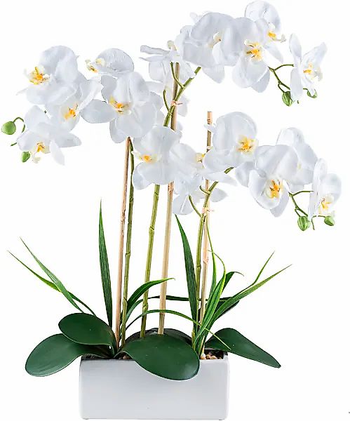 Creativ green Kunstorchidee »Orchidee Phalaenopsis« mit Graszweigen arrangi günstig online kaufen