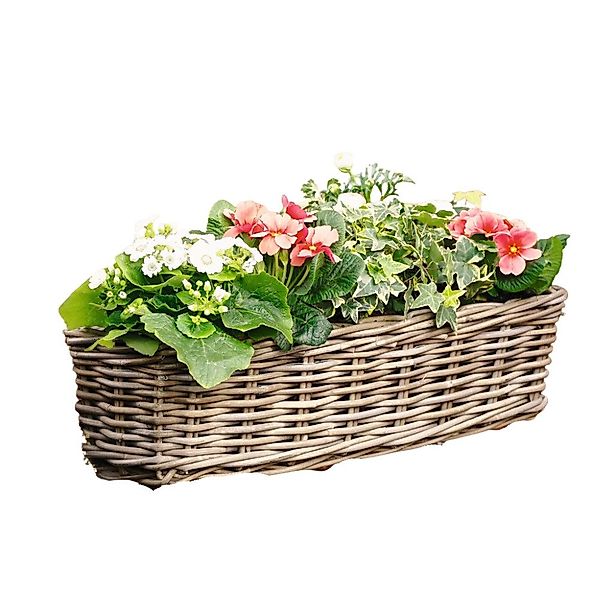 Home-trends24.de Balkonkasten Rattan Blumenkasten Blumenkästen Blumentopf günstig online kaufen