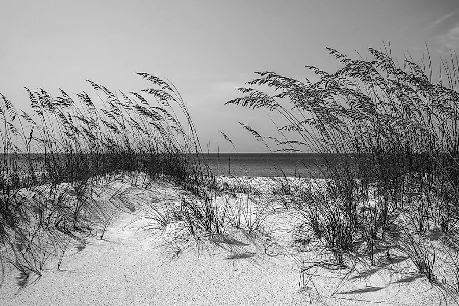 Papermoon Fototapete "Strand Schwarz & Weiß" günstig online kaufen