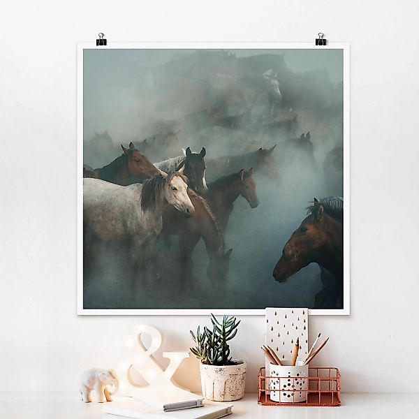 Poster Tiere - Quadrat Wilde Pferde günstig online kaufen