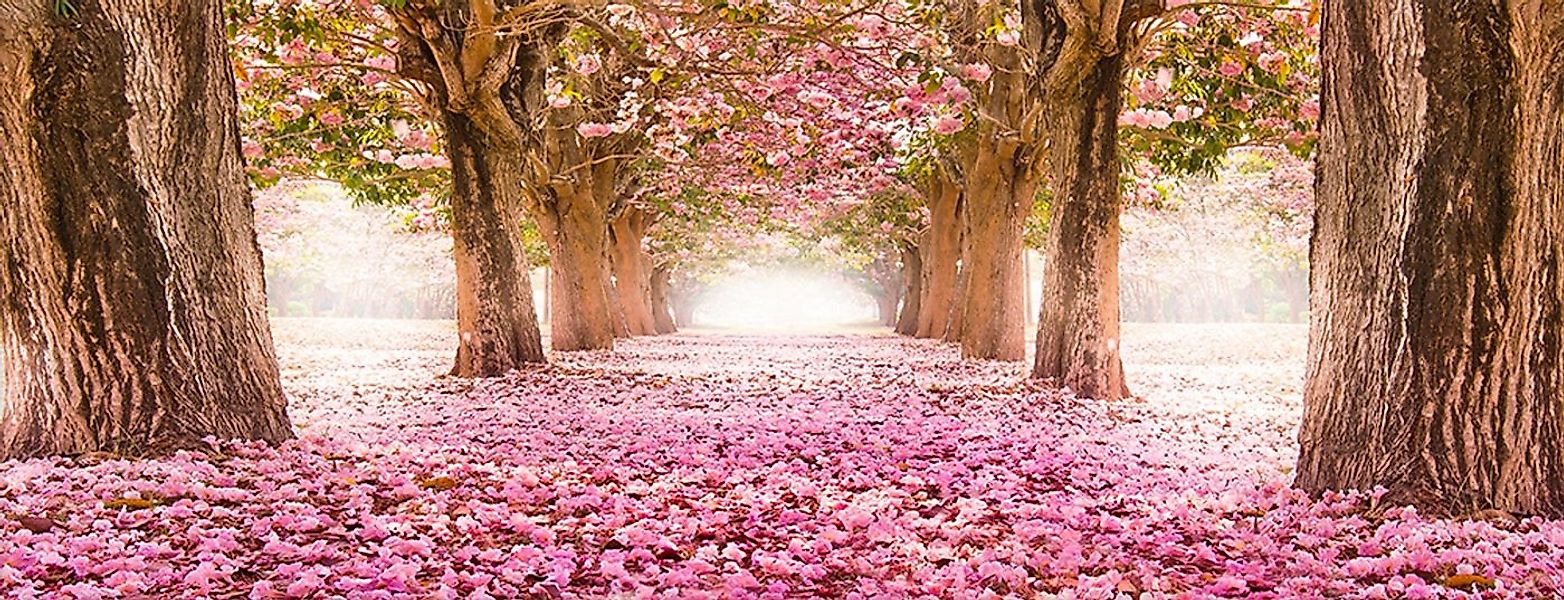 artissimo Glasbild Bild aus Glas 80x30 cm / Wandbild Querformat / Wanddeko günstig online kaufen