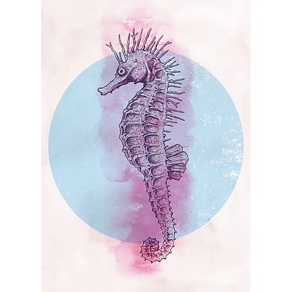Komar Bild "Sea Horse Circle" Tiere 1 Stk. tlg. Wandbild zur Dekoration - o günstig online kaufen