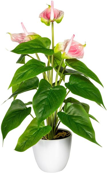 my home Kunstpflanze "Haune" im Topf günstig online kaufen